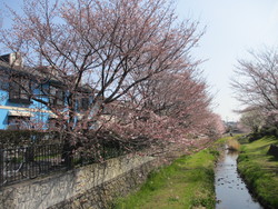 鞍尾根橋