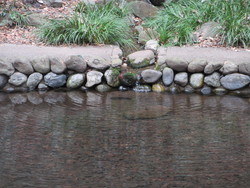 西側の湧水口…めずらしく音を立てて流入している