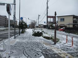 雪景色