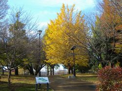 武蔵国分寺公園