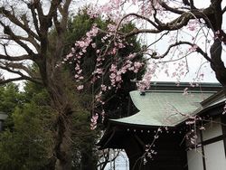 内藤神社