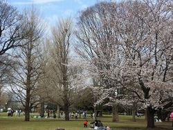 国分寺公園